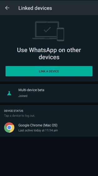 Whatsap Multi-Device Beta